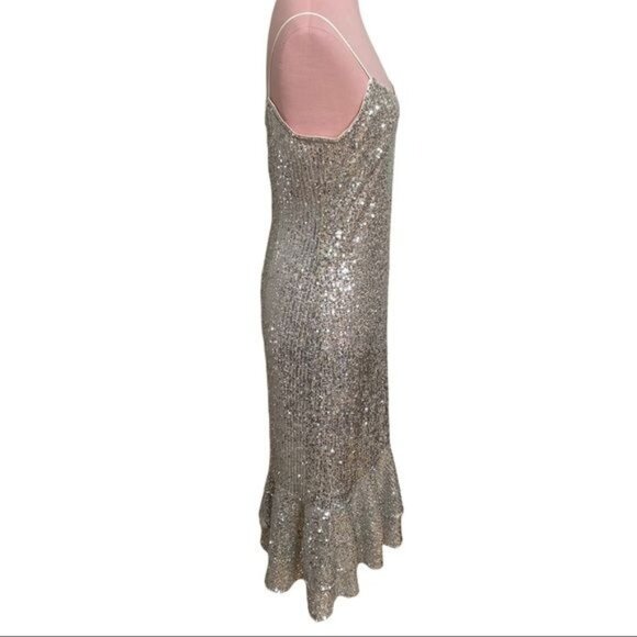 BHLDN Sachin & Babi Sequin Odelle Midi Dress in Silver & Gold Size 4 NWT - Picture 7 of 12